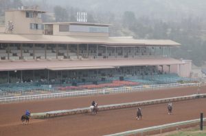 Grandstand